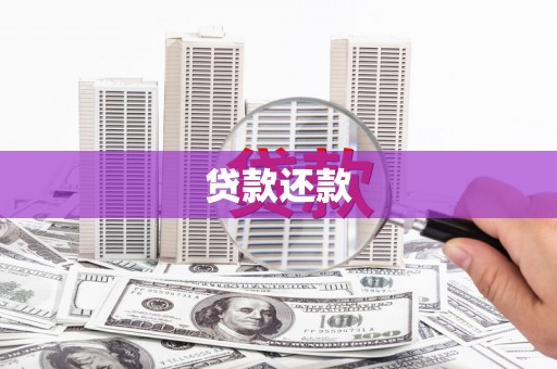 新华贷款还款