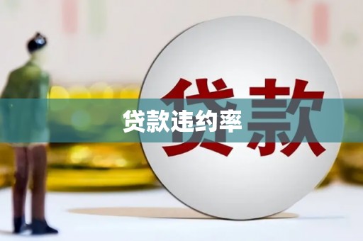 新华贷款违约率
