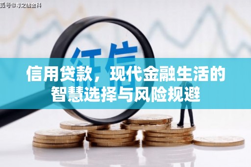 新华信用贷款，现代金融生活的智慧选择与风险规避