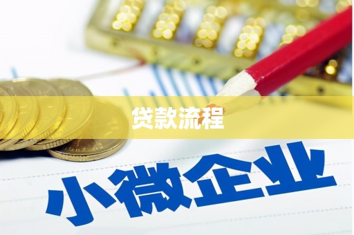 新华贷款流程