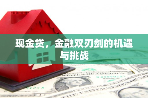 新华现金贷，金融双刃剑的机遇与挑战