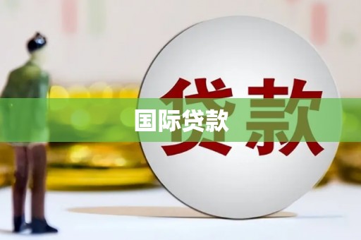 新华国际贷款