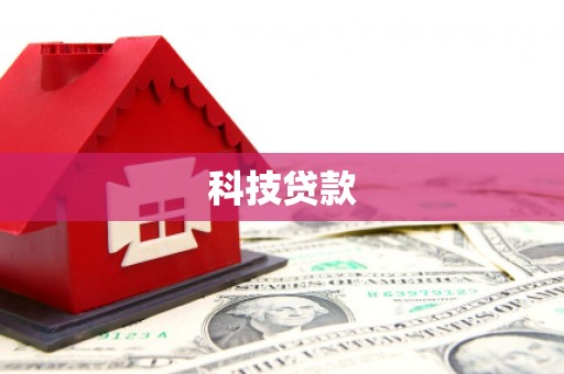 新华科技贷款