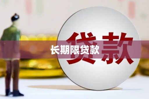 新华长期限贷款
