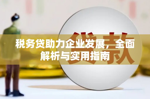 新华税务贷助力企业发展，全面解析与实用指南