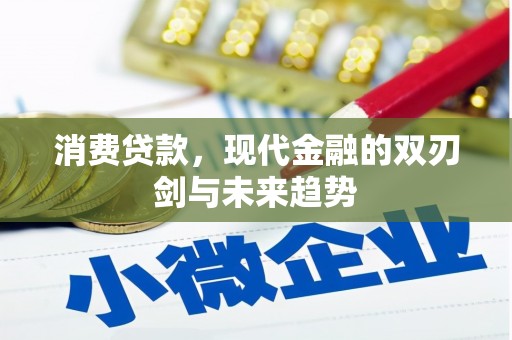 新华消费贷款，现代金融的双刃剑与未来趋势