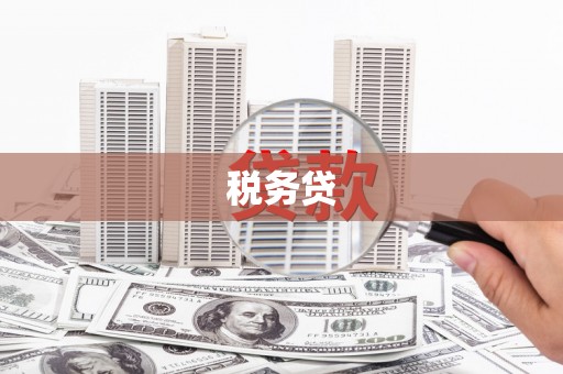 新华税务贷