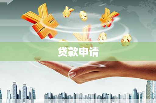 新华贷款申请