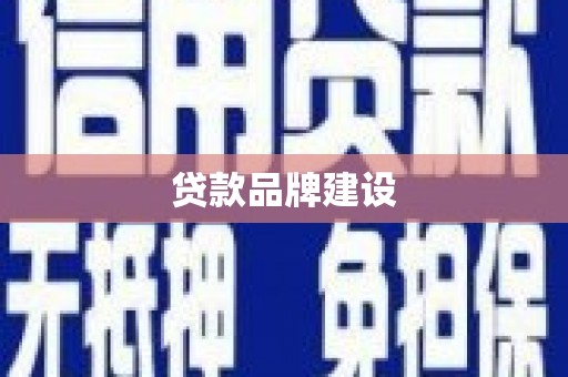 新华贷款品牌建设