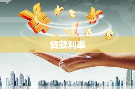新华贷款利率