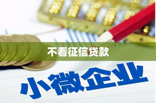 新华不看征信贷款