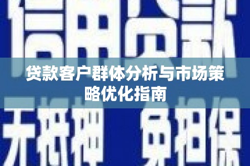 新华贷款客户群体分析与市场策略优化指南
