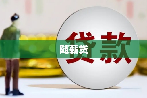 新华随薪贷