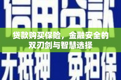 新华贷款购买保险，金融安全的双刃剑与智慧选择