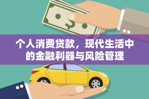 新华个人消费贷款，现代生活中的金融利器与风险管理