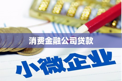 新华消费金融公司贷款