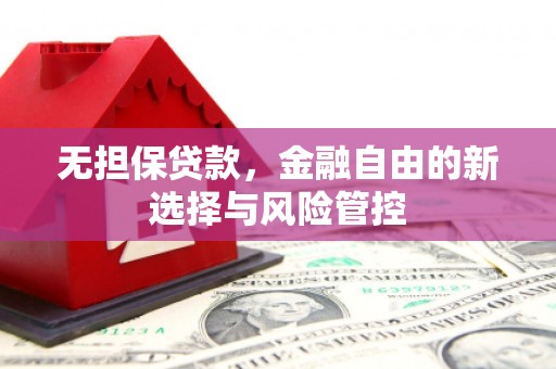 新华无担保贷款，金融自由的新选择与风险管控