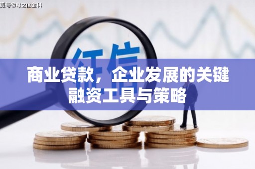 新华商业贷款，企业发展的关键融资工具与策略
