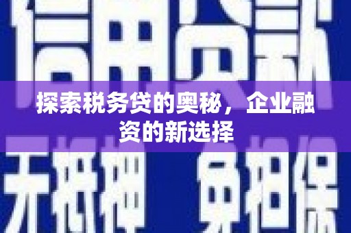新华探索税务贷的奥秘，企业融资的新选择