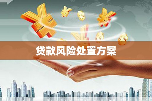 新华贷款风险处置方案