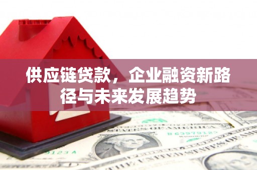 新华供应链贷款，企业融资新路径与未来发展趋势