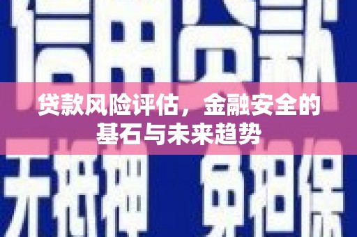 新华贷款风险评估，金融安全的基石与未来趋势