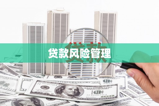 新华贷款风险管理