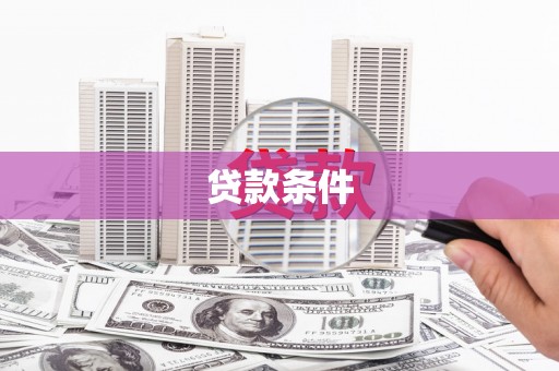新华贷款条件
