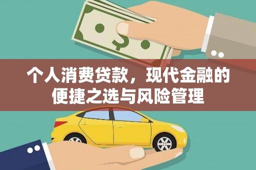 新华个人消费贷款，现代金融的便捷之选与风险管理