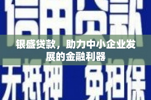新华银盛贷款，助力中小企业发展的金融利器