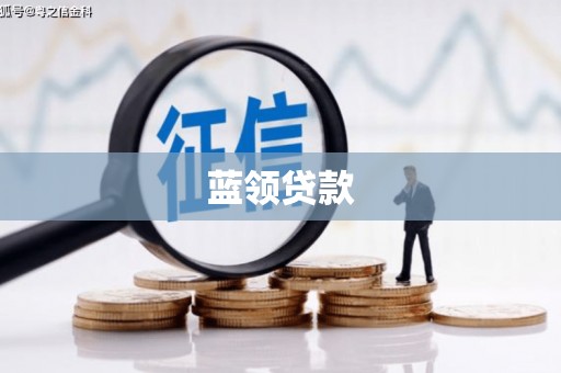 新华蓝领贷款