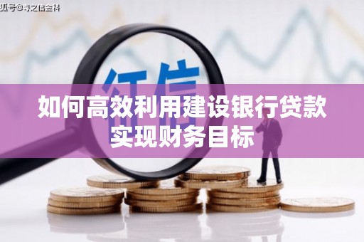 新华如何高效利用建设银行贷款实现财务目标