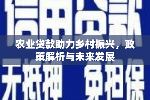 新华农业贷款助力乡村振兴，政策解析与未来发展
