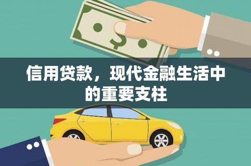 新华信用贷款，现代金融生活中的重要支柱