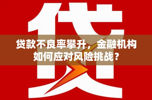 新华贷款不良率攀升，金融机构如何应对风险挑战？