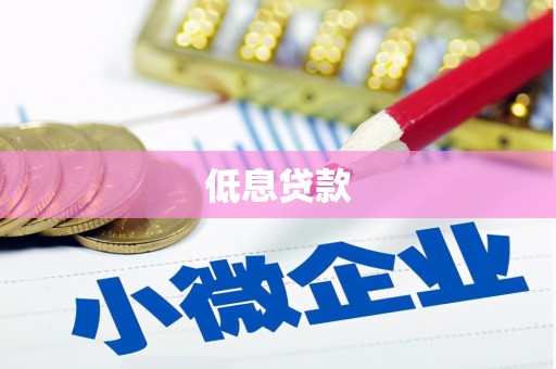 新华低息贷款