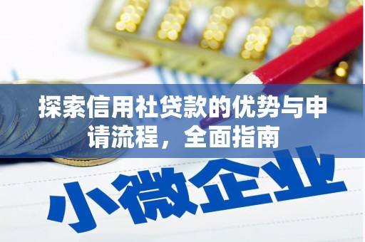 新华探索信用社贷款的优势与申请流程，全面指南