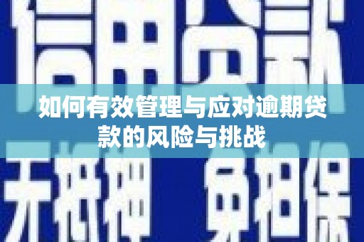 新华如何有效管理与应对逾期贷款的风险与挑战