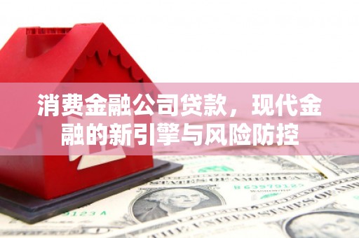 新华消费金融公司贷款，现代金融的新引擎与风险防控
