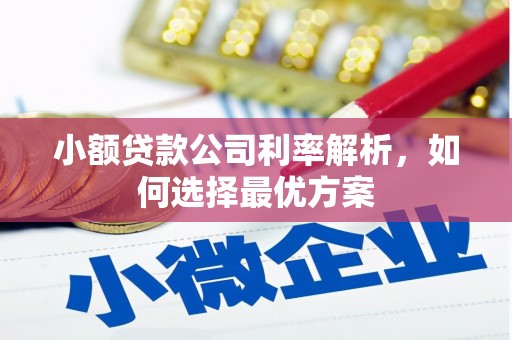新华小额贷款公司利率解析，如何选择最优方案