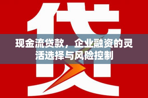新华现金流贷款，企业融资的灵活选择与风险控制