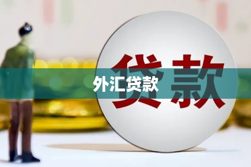 新华外汇贷款