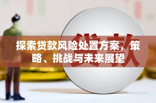 新华探索贷款风险处置方案，策略、挑战与未来展望