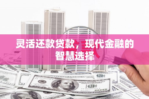 新华灵活还款贷款，现代金融的智慧选择