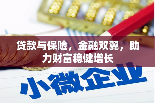 新华贷款与保险，金融双翼，助力财富稳健增长