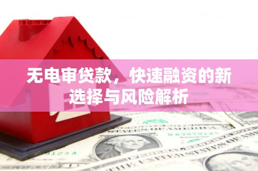 新华无电审贷款，快速融资的新选择与风险解析