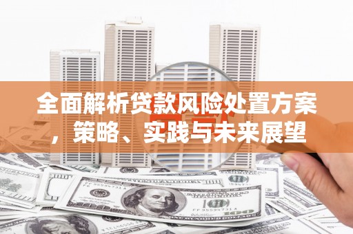 新华全面解析贷款风险处置方案，策略、实践与未来展望
