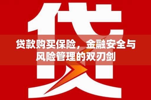 新华贷款购买保险，金融安全与风险管理的双刃剑