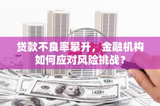 新华贷款不良率攀升，金融机构如何应对风险挑战？