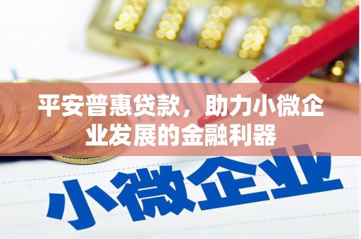 新华平安普惠贷款，助力小微企业发展的金融利器